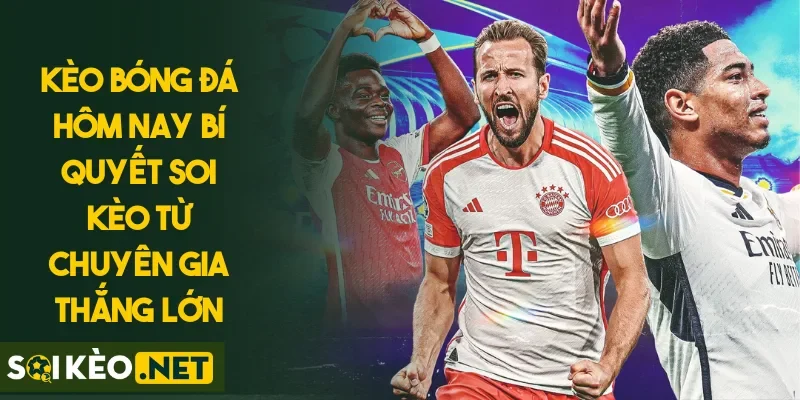 Kèo Bóng Đá Hôm Nay Bí Quyết Soi Kèo Từ Chuyên Gia Thắng Lớn